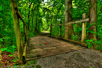 Summer ML HDR 09