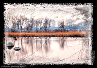 Squaw Creek