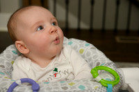 Maisie Pix 12/17/2022