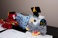 Getting Ready Pix for Graduation 2011