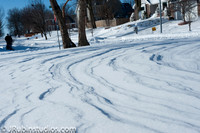 Snow Storm Feb. 1, 2011 Office